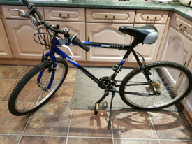 mens cycles for sale